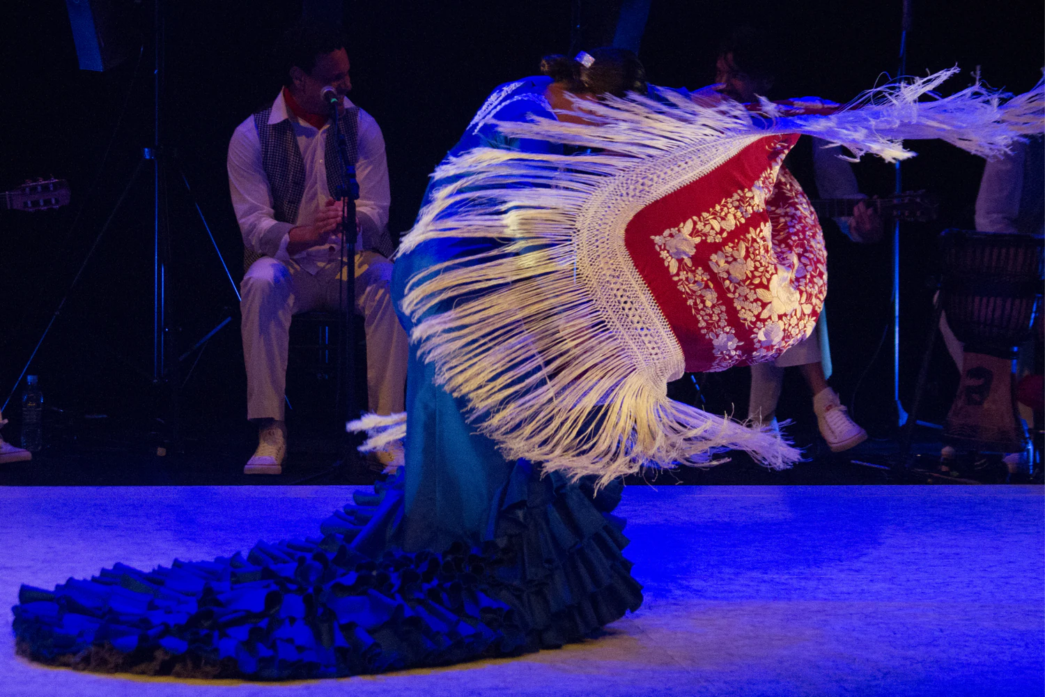 fotografia flamenco toro negro palco 010