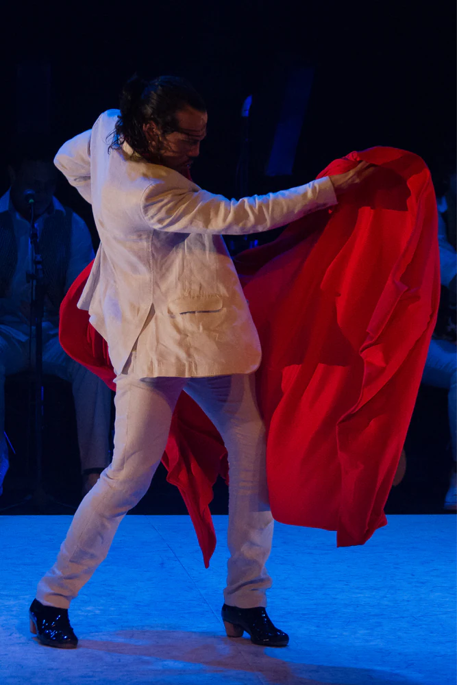 fotografia flamenco toro negro palco 013