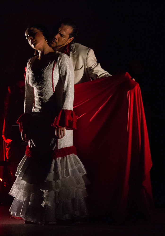 fotografia flamenco toro negro palco 014