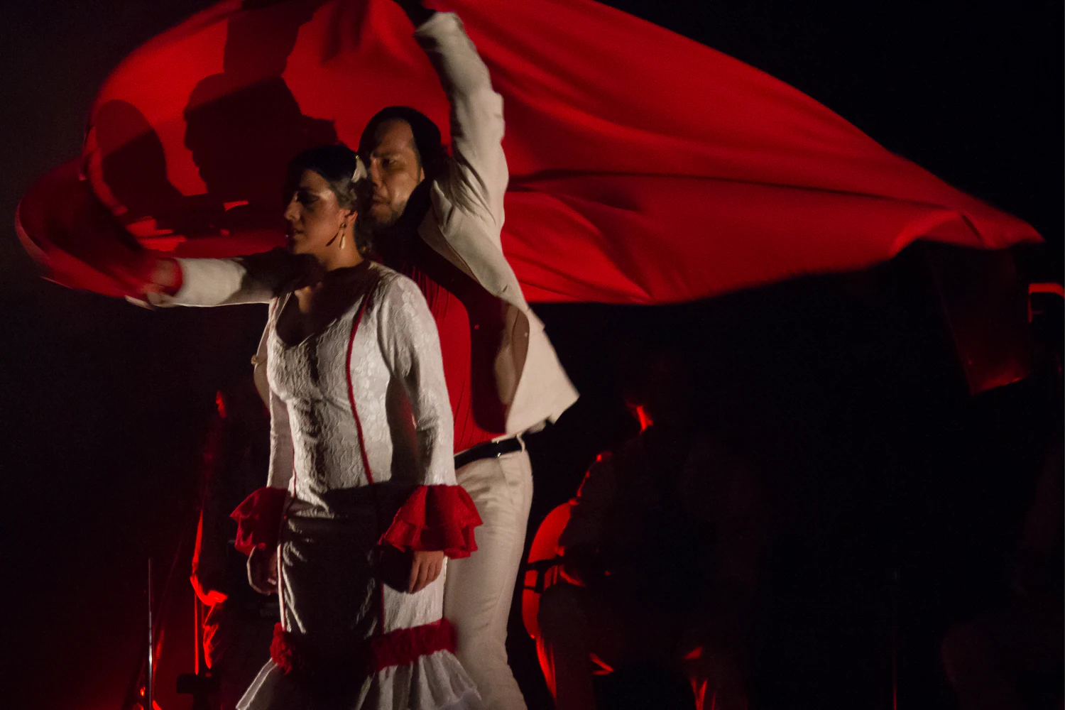 fotografia flamenco toro negro palco 015