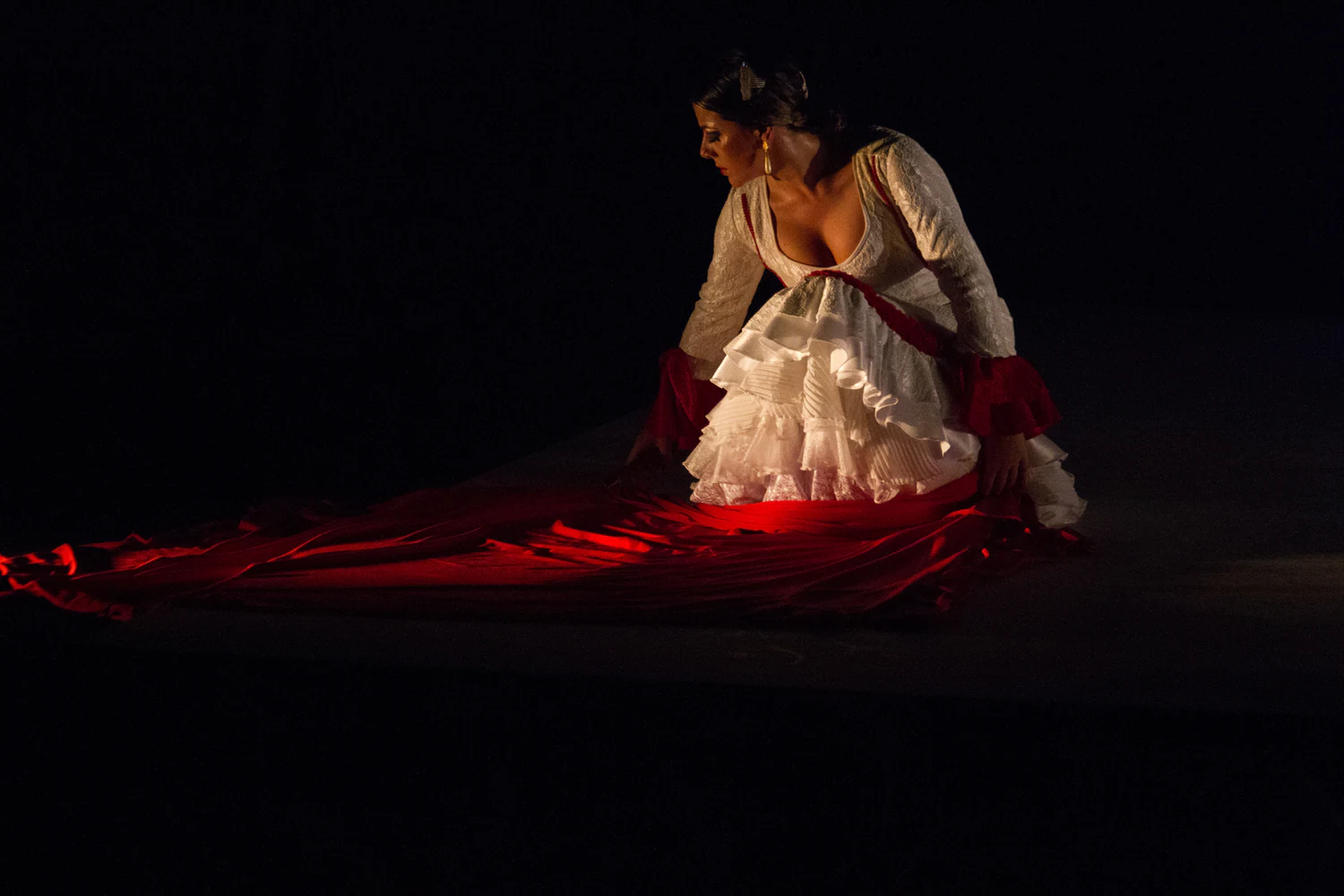 fotografia flamenco toro negro palco 016