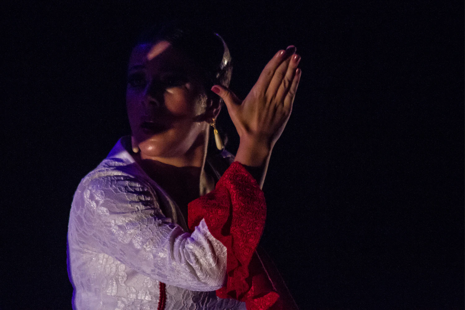 fotografia flamenco toro negro palco 019
