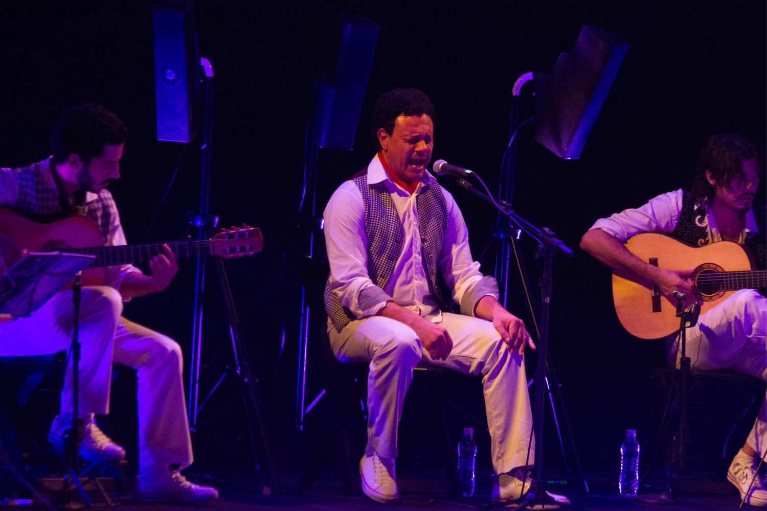 fotografia flamenco toro negro palco 020