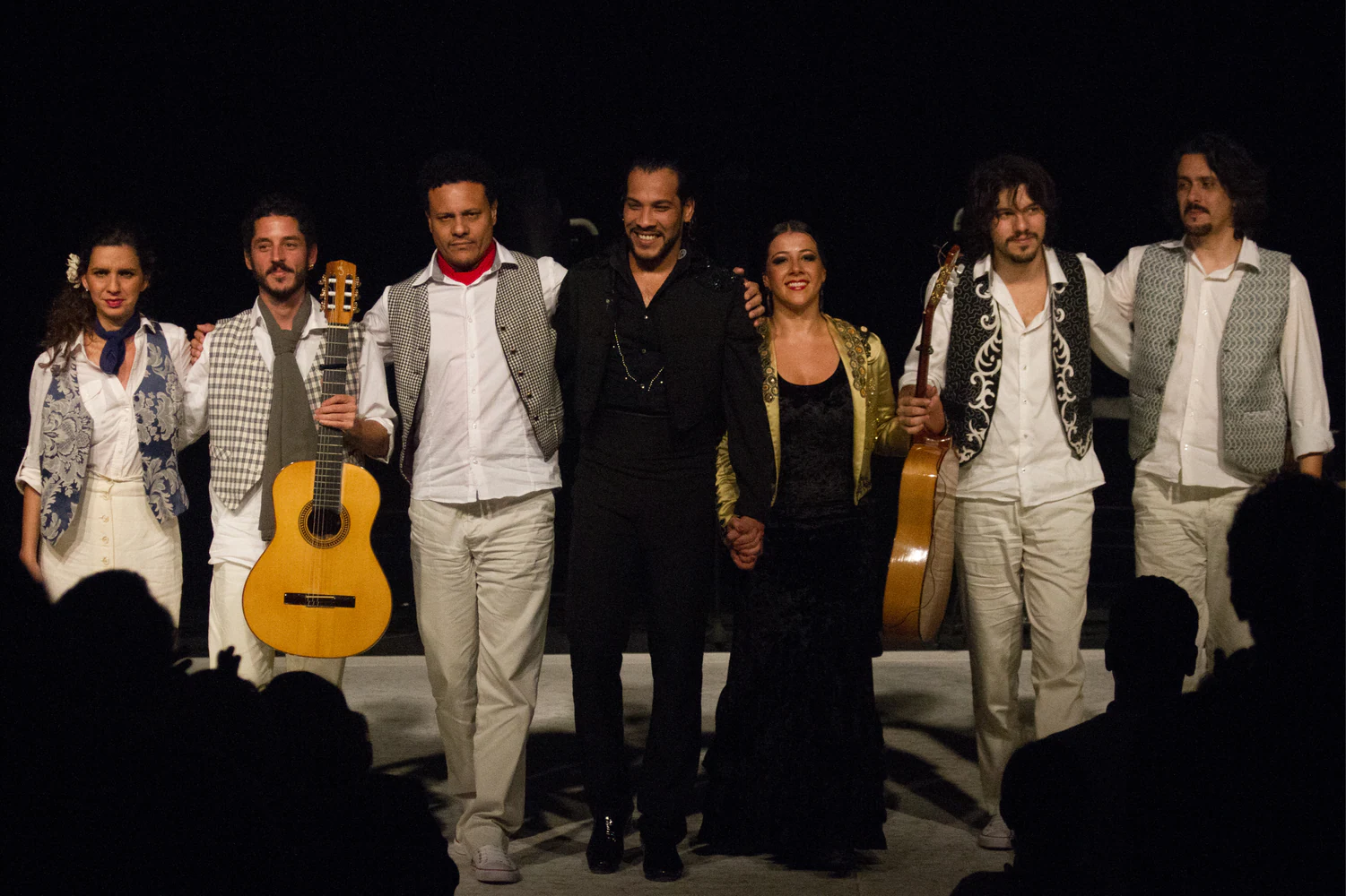 fotografia flamenco toro negro palco 024