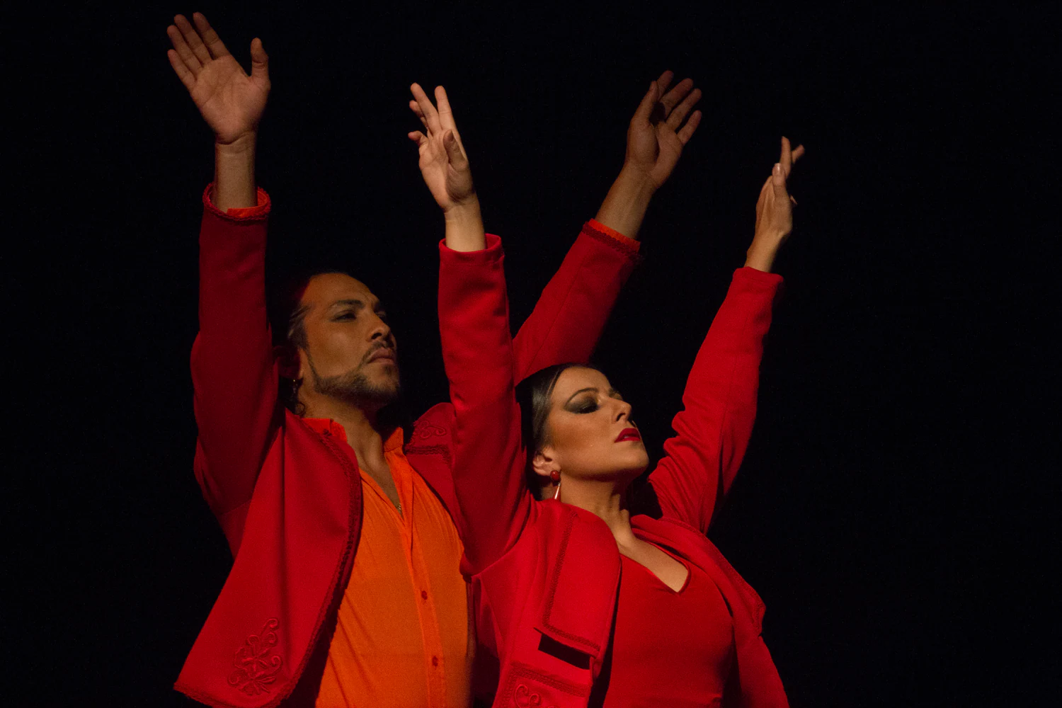 fotografia flamenco toro negro palco 025