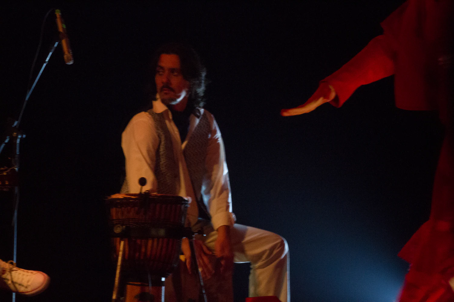 fotografia flamenco toro negro palco 026