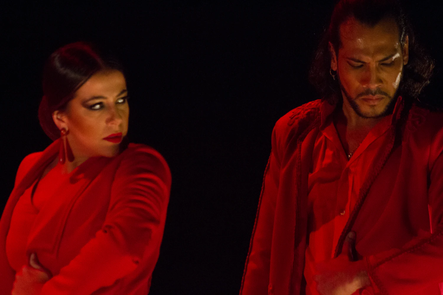 fotografia flamenco toro negro palco 027