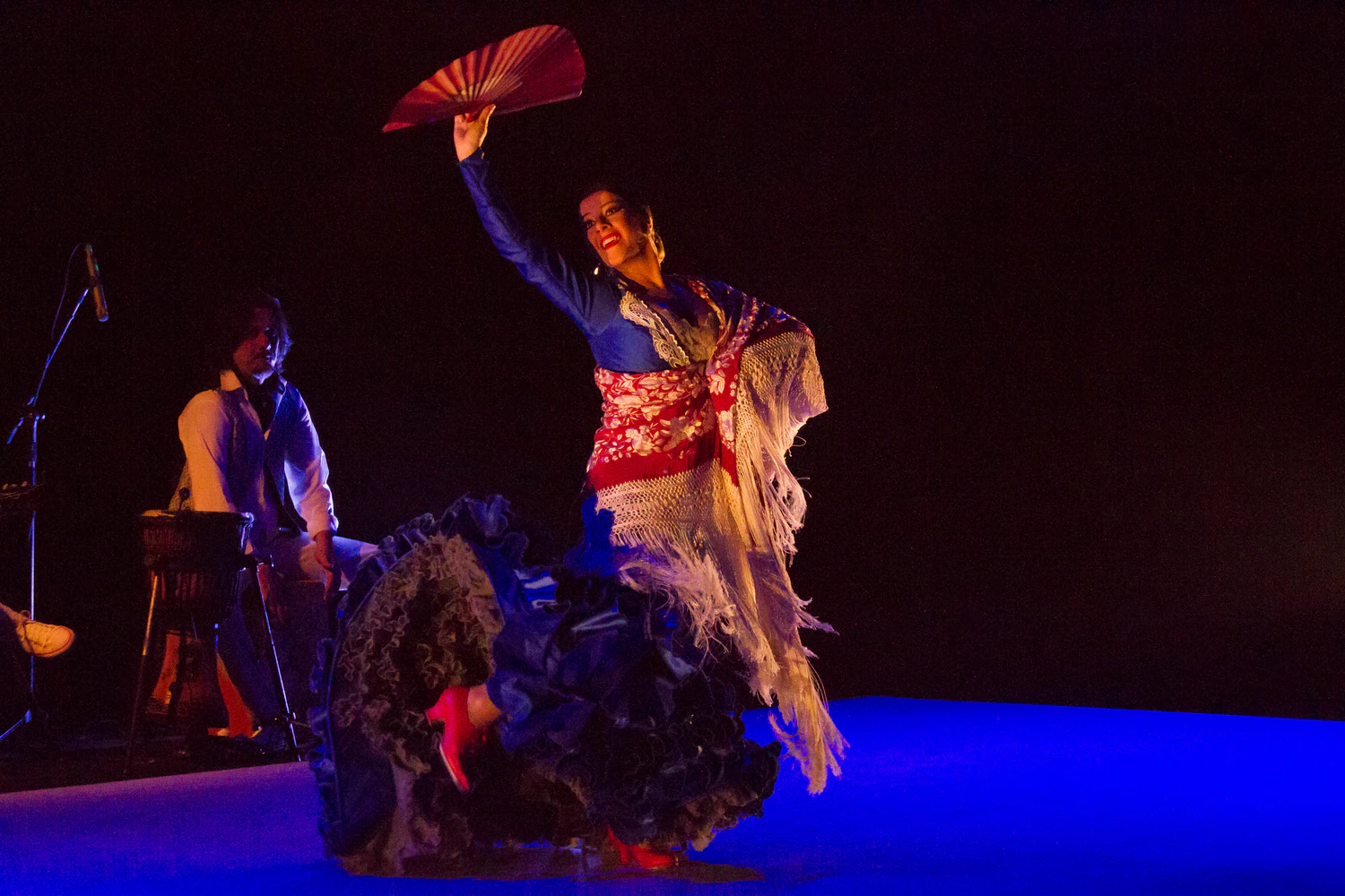 fotografia flamenco toro negro palco 032