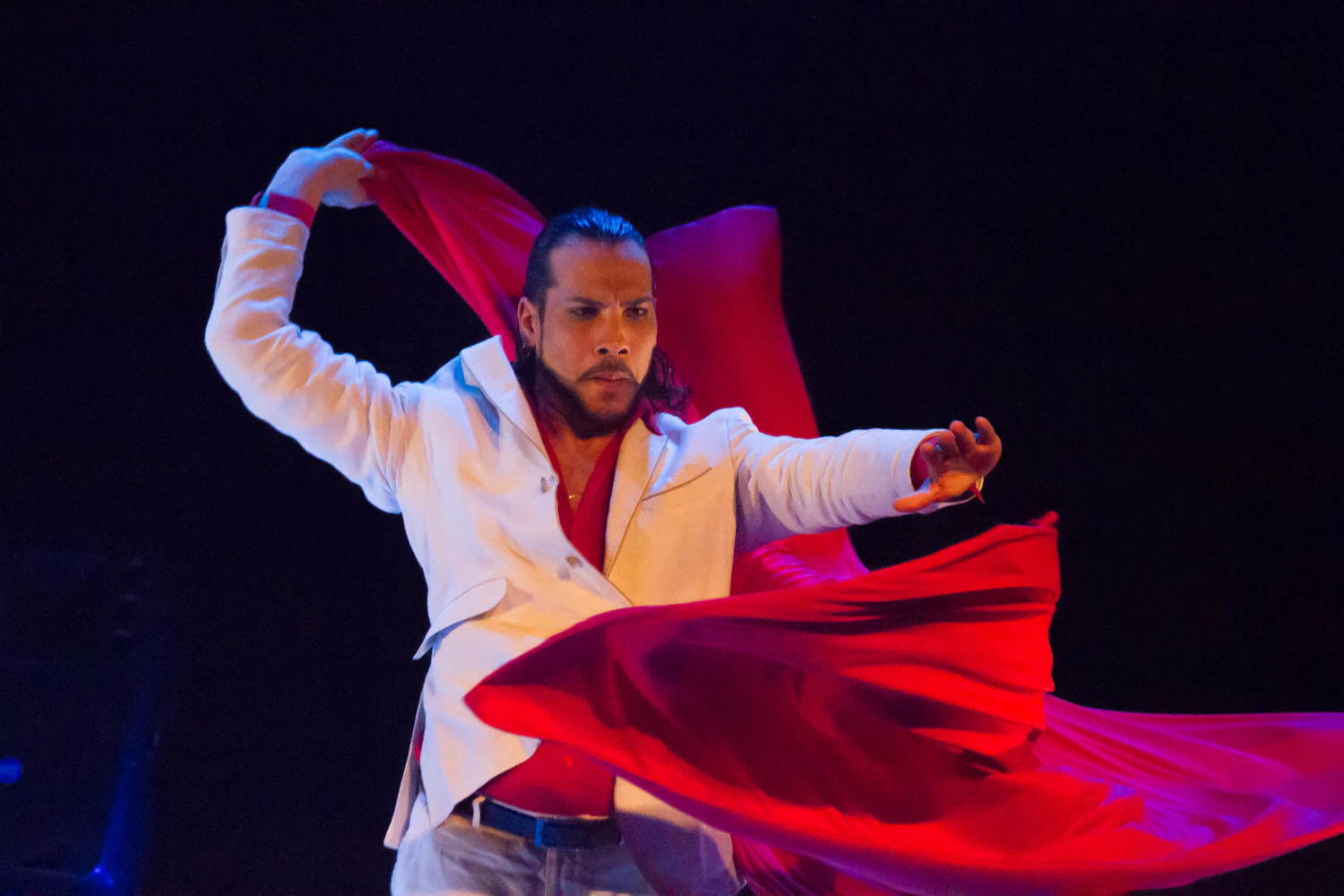 fotografia flamenco toro negro palco 035