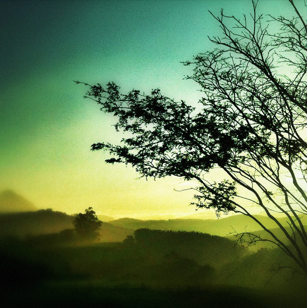fotografia mobgrafia selecao ig iphoneography 166