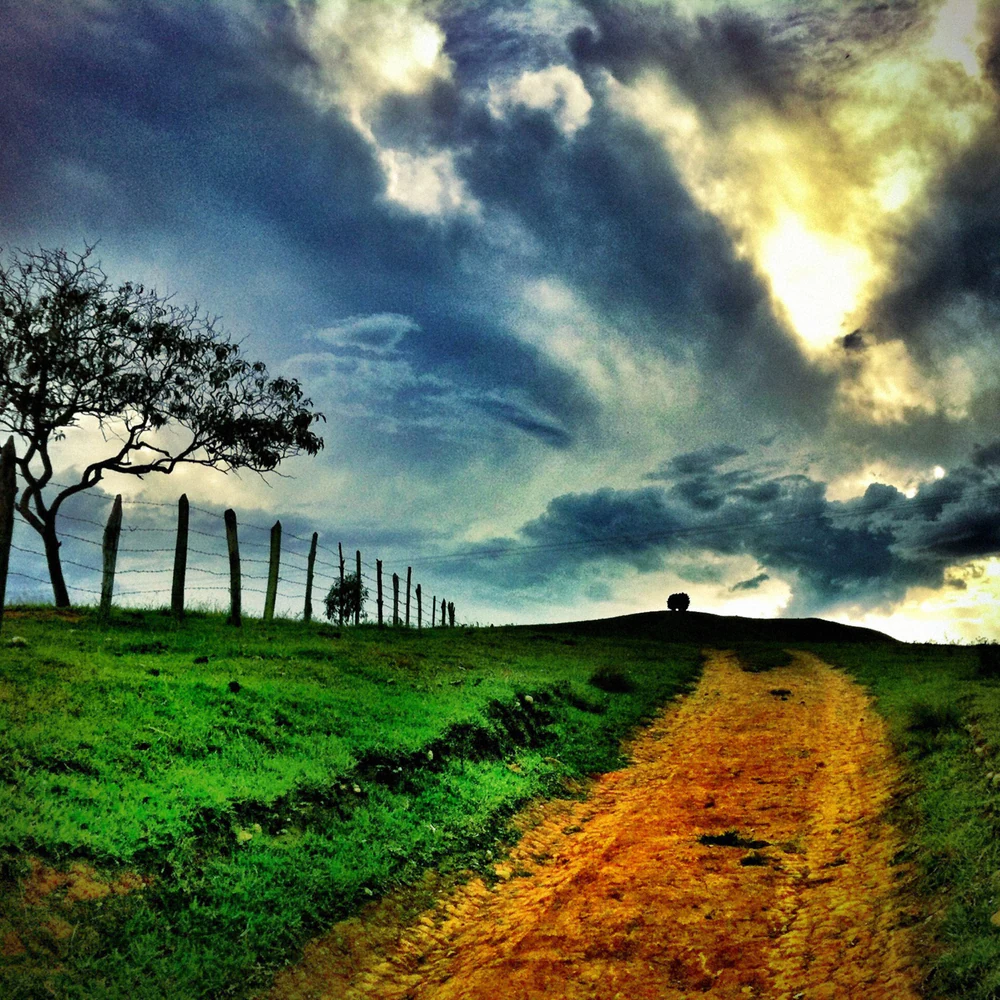 fotografia mobgrafia selecao ig iphoneography 168