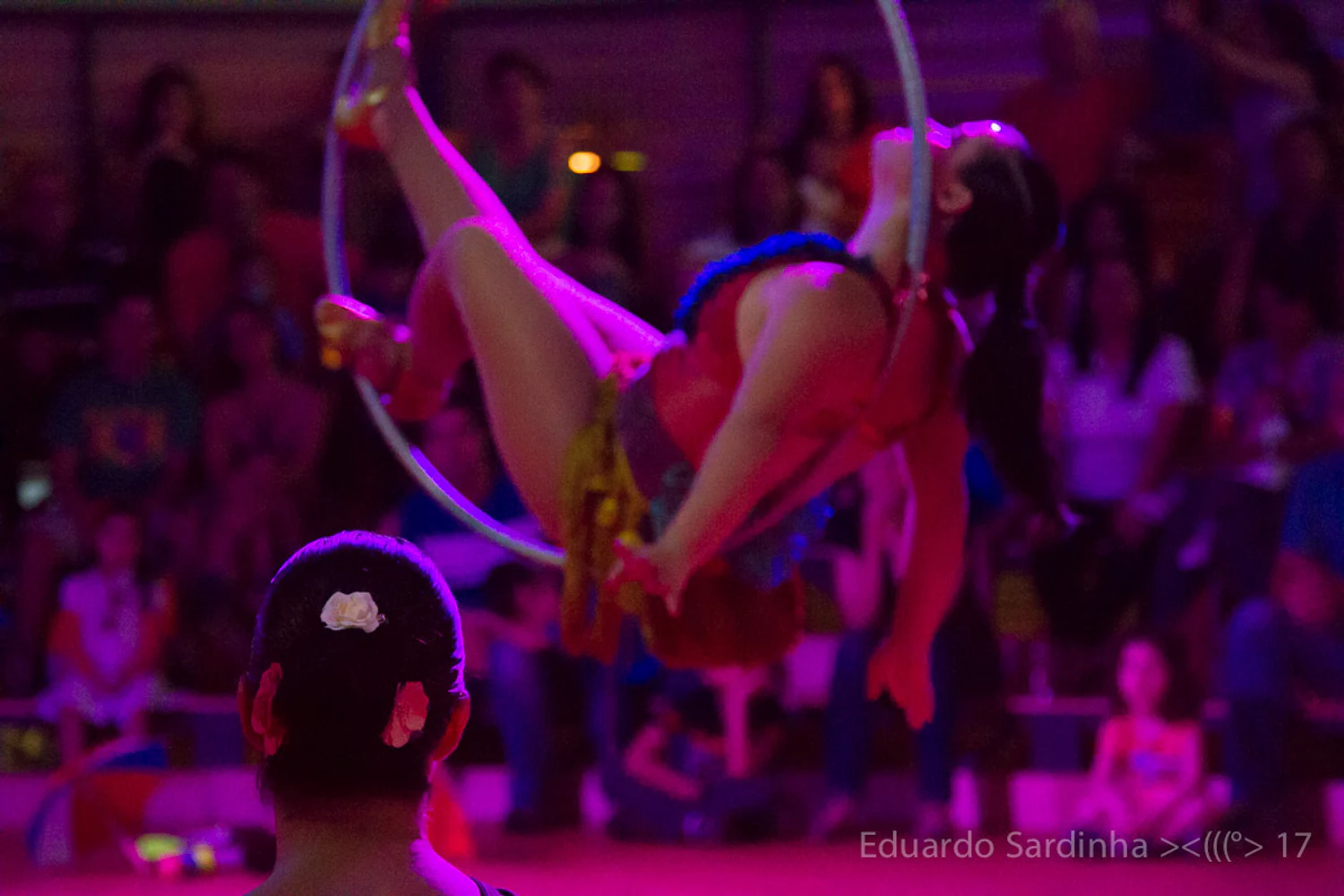 fotografia palco vida de circo espetaculo circense 081