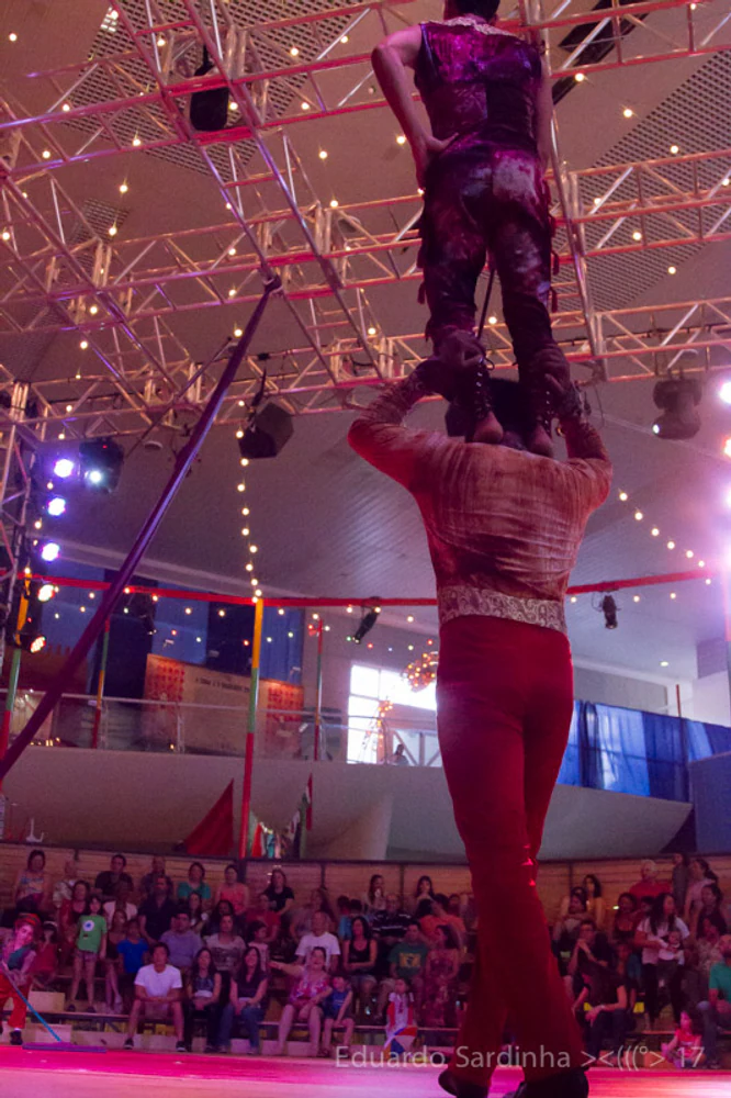 fotografia palco vida de circo espetaculo circense 104
