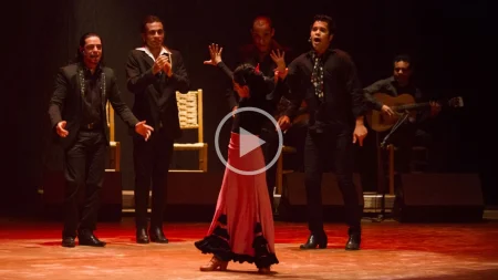 portfolio videos producao audiovisual espetaculo flamenco sardinha17